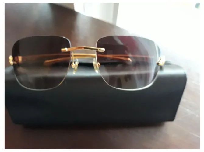 Gafas CARTIER Pantera Multicolor 