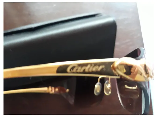 Gafas CARTIER Pantera Multicolor 